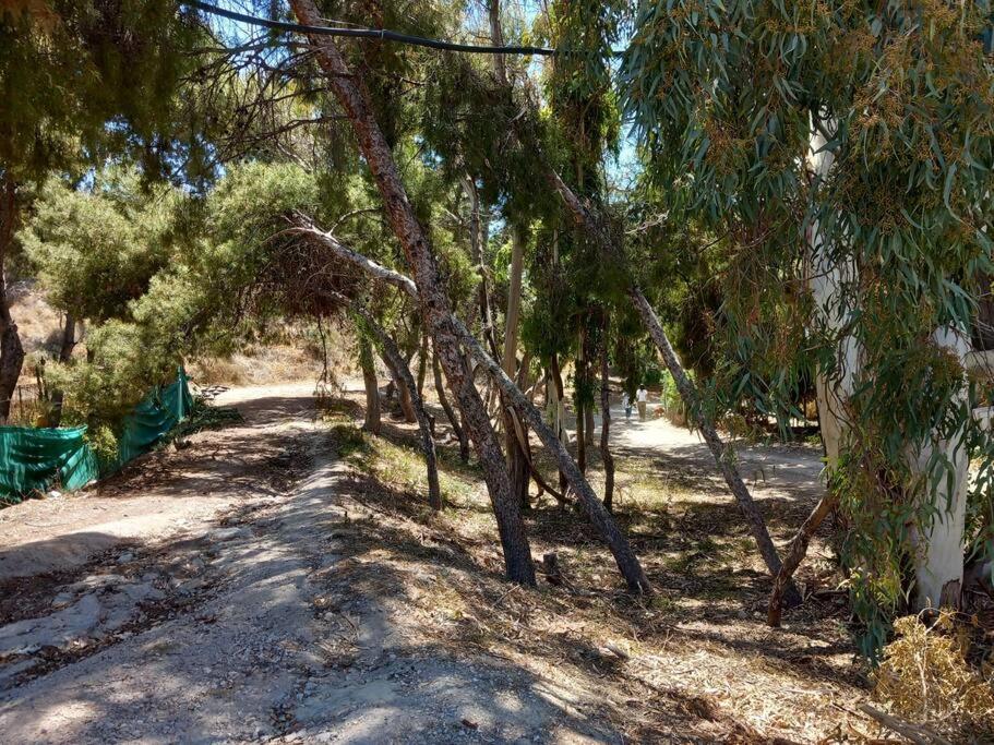 Acogedor Bungalow Adosado El Campello Esterno foto